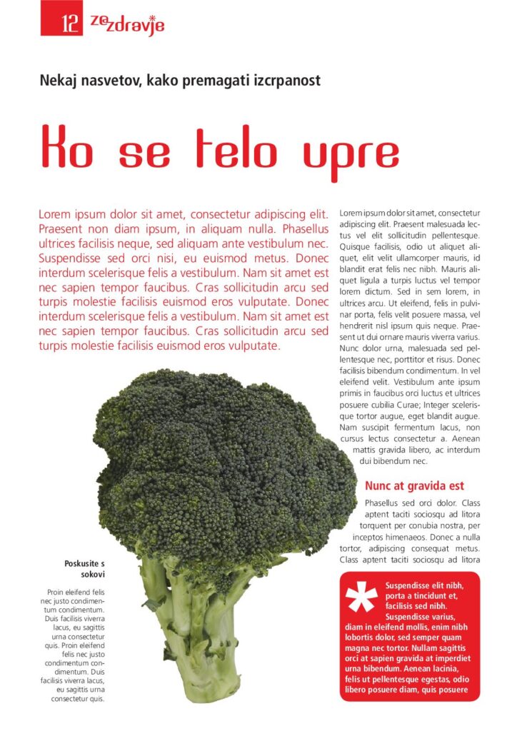 ZA ZDRAVJE MAGAZINE INTERIOR